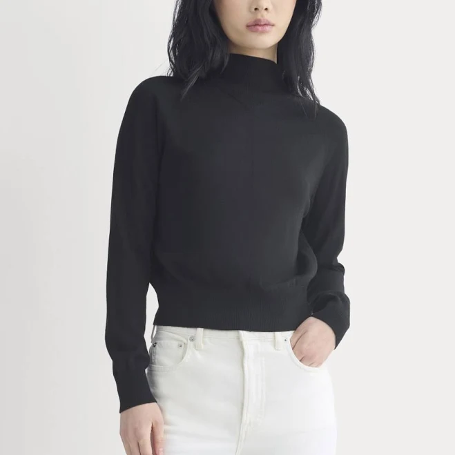 top Everlane Ultrafine Merino Mockneck Sweater Everlane $97