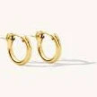 Gold Filled Hoop Earrings