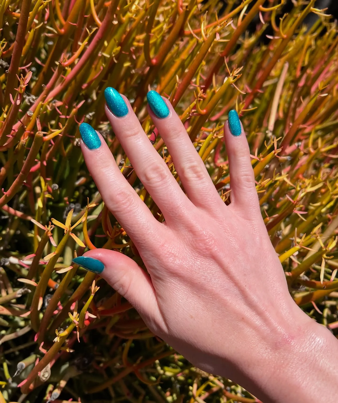best nail colors for august 2026 Shimmering Teal That Smoothly Welcomes Early Fall