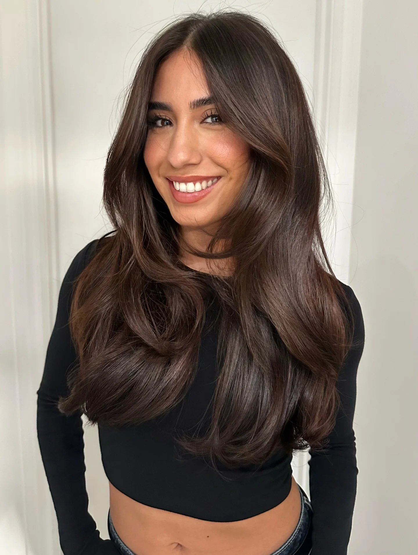 dimensional brunette hair color Classic Rich Brunette With Feathered Ends