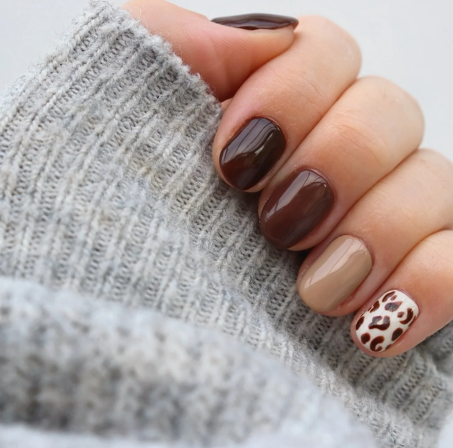 simple fall short nails Glossy Chocolate Brown With Warm Leopard Accent