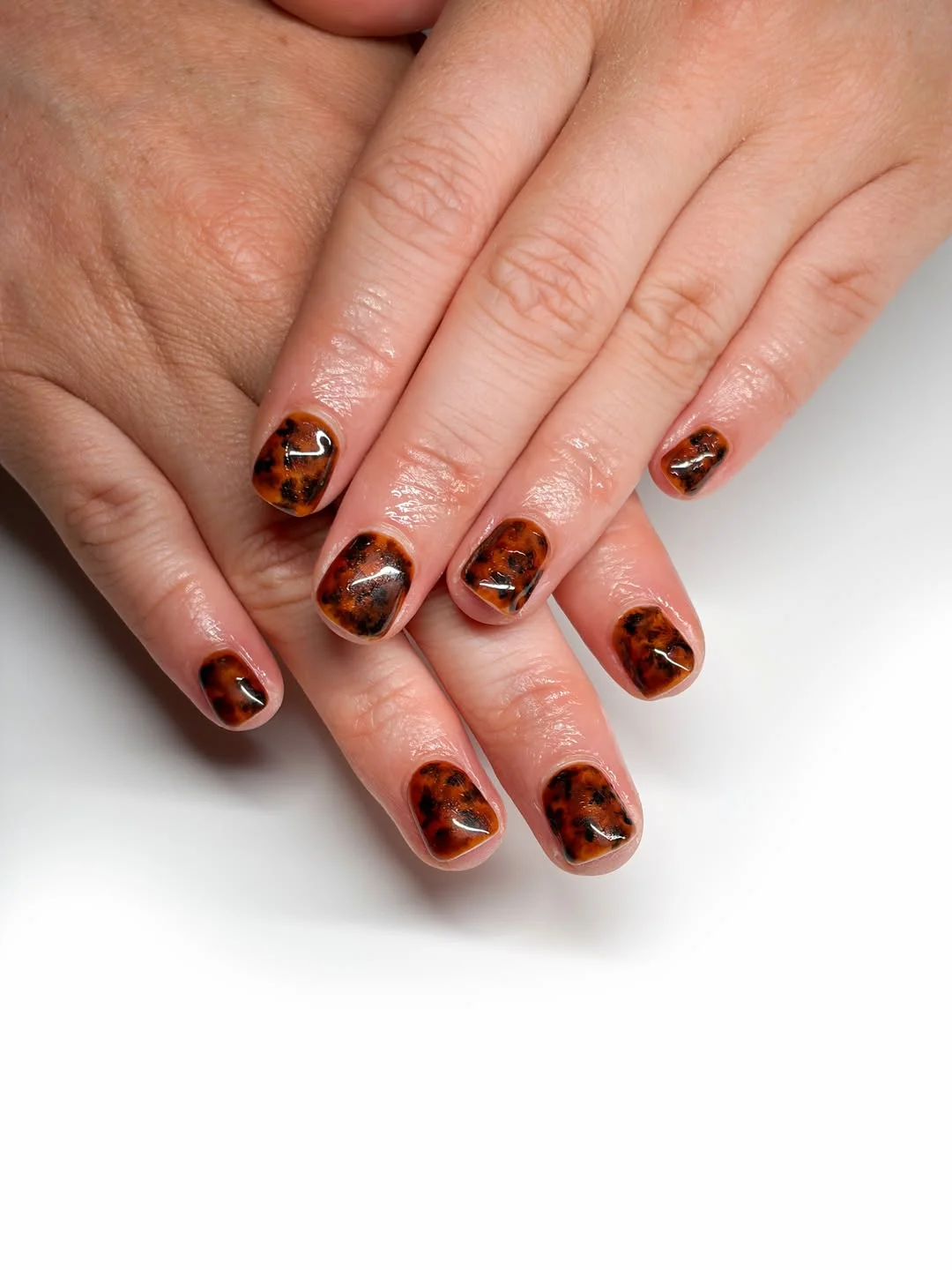 fall nail designs square shape 2026 Short Tortoiseshell Nails With Rich Amber Depth