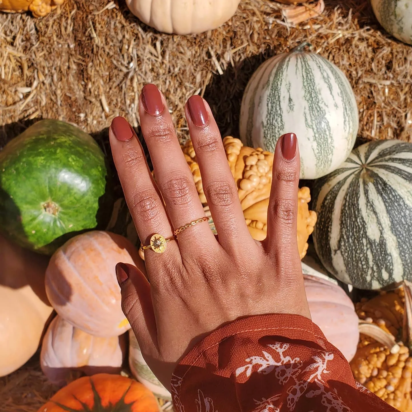 autumn nails color Warm Terracotta Short Nails