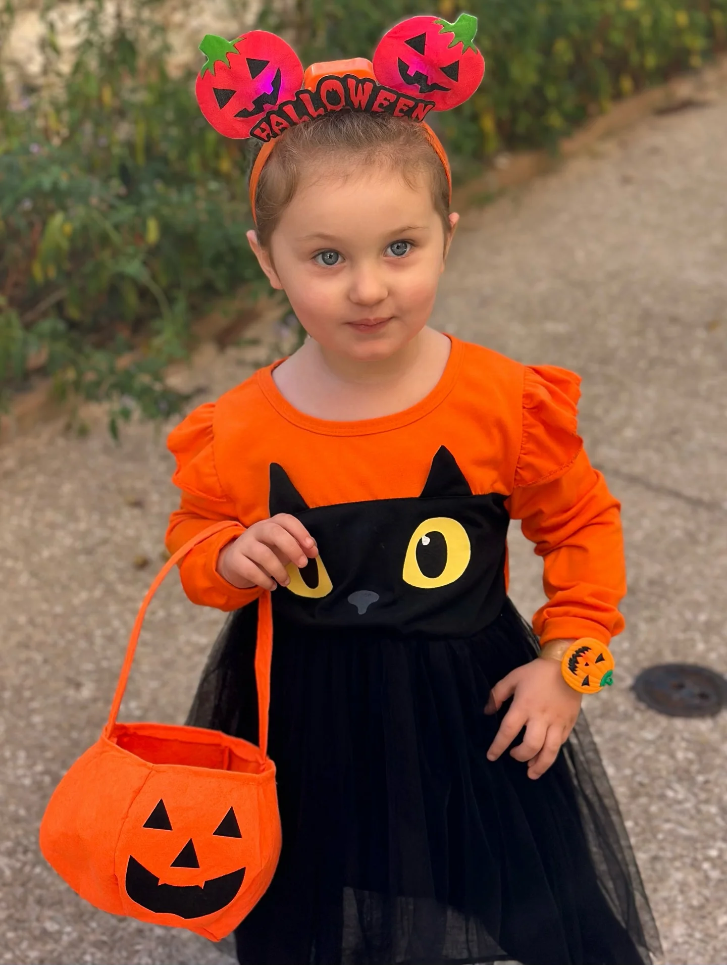 halloween costume for kids 2026 Cute Pumpkin Kitty